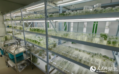 将药物研发范畴的智能化平台拓展至农业？